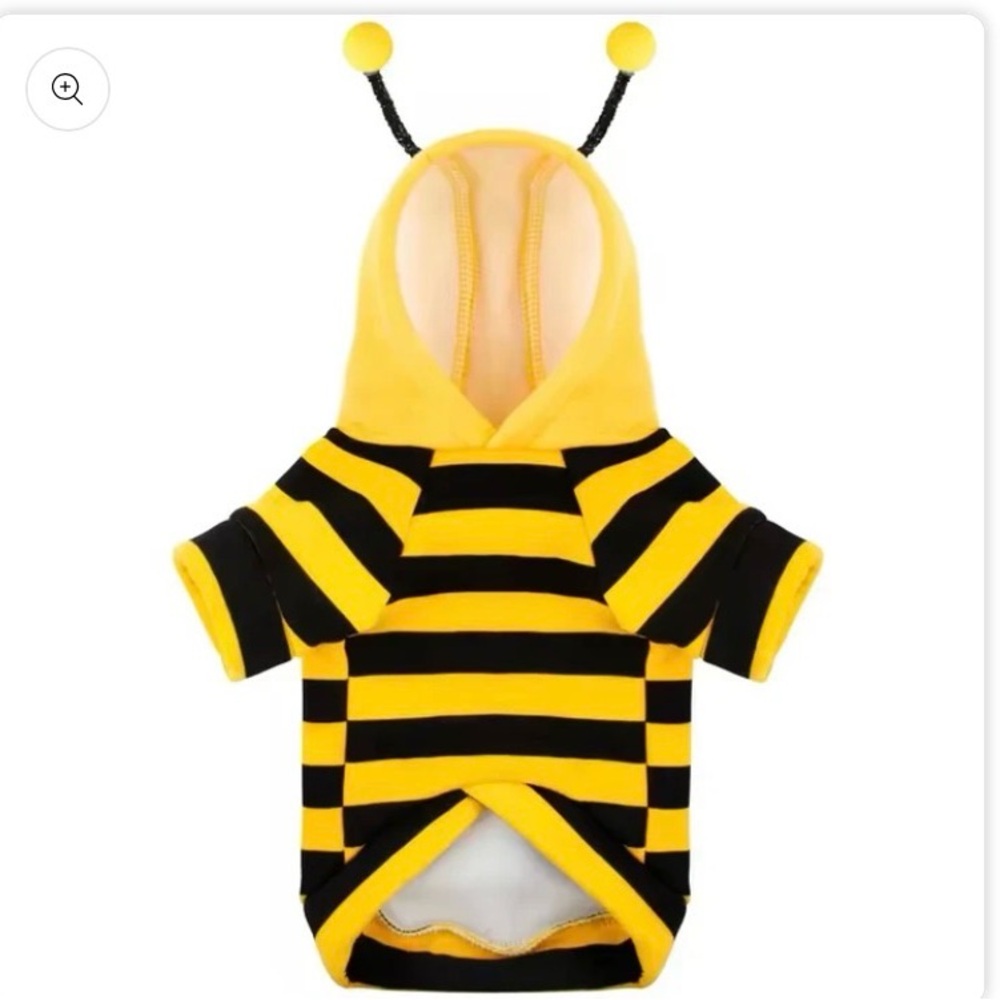 Beedric's Dog Bee Costume - Picture 2 of 3